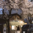青岛旅游 缩略图 1