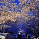 青岛旅游 缩略图 1
