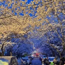 青岛旅游 缩略图 2