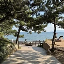 青岛旅游 缩略图 8