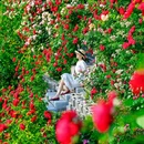 青岛旅游 缩略图 8