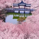 青岛旅游 缩略图 6
