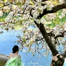 青岛旅游 缩略图 13