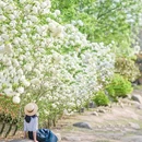 青岛旅游 缩略图 9