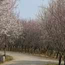 大连旅游 缩略图 7