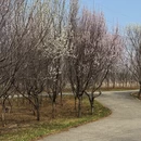 大连旅游 缩略图 9