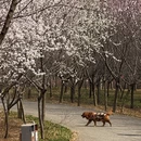 大连旅游 缩略图 6