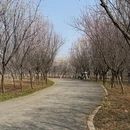 大连旅游 缩略图 8