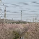 大连旅游 缩略图 14