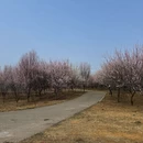 大连旅游 缩略图 11