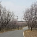 大连旅游 缩略图 12