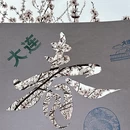大连旅游 缩略图 15
