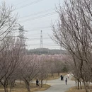 大连旅游 缩略图 13
