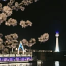 大连旅游 缩略图 1