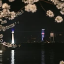 大连旅游 缩略图 2