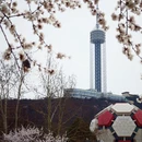 大连旅游 缩略图 6