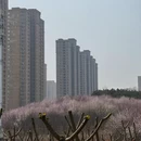 大连旅游 缩略图 18