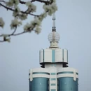 大连旅游 缩略图 7