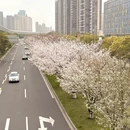 宁波旅游 缩略图 1