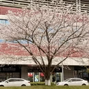 宁波旅游 缩略图 3