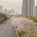 宁波旅游 缩略图 5