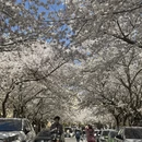 青岛旅游 缩略图 12