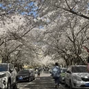青岛旅游 缩略图 11