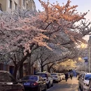 青岛旅游 缩略图 1