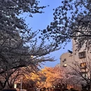 青岛旅游 缩略图 5
