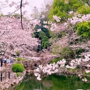 上海旅游 缩略图 2