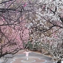 青岛旅游 缩略图 4