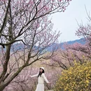 青岛旅游 缩略图 5