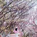 青岛旅游 缩略图 6
