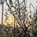青岛旅游 缩略图 12