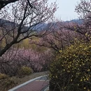 青岛旅游 缩略图 14