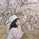 青岛旅游 缩略图 11