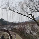 青岛旅游 缩略图 10