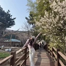 青岛旅游 缩略图 7