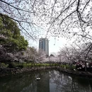 上海旅游 缩略图 2