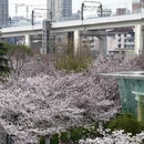 上海旅游 缩略图 10