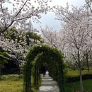 上海旅游 缩略图 12