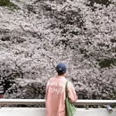 上海旅游 缩略图 7