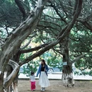 大连旅游 缩略图 5