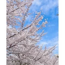 大连旅游 缩略图 2