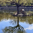 大连旅游 缩略图 10
