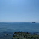 大连旅游 缩略图 11