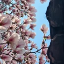成都旅游 缩略图 4