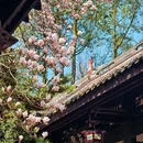 成都旅游 缩略图 3