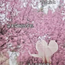 成都旅游 缩略图 1