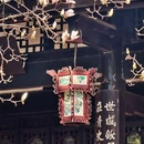 成都旅游 缩略图 14